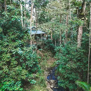 https://narrows-escape-rainforest-retreat.hotelssunshinecoast.net